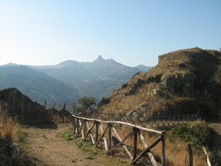 stello di Tripi-06-02-2016 18-11-23